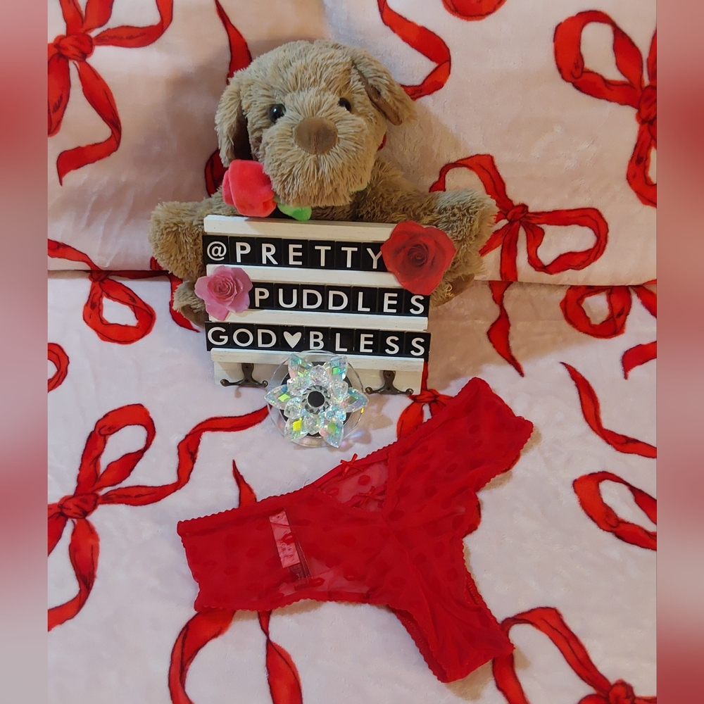 💋 Victoria's Secret Very Sexy Kiss Mesh Cheeky Panty #2 💋